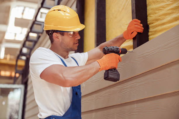 Best Custom Trim and Detailing for Siding  in Hugo, MN
