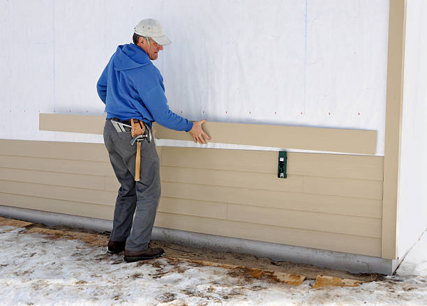 Best Stone Veneer Siding  in Hugo, MN